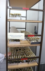 Zestaw patogenów przechowywanych w butelkach