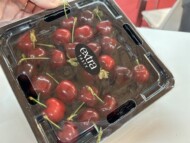 Plastikowe opakowanie z wieczkiem