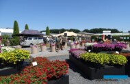 Centralna część pokazów podczas FlowerTrials 2023 w firmie Florensis