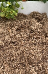 włókno drzewne w mieszance z kokosem