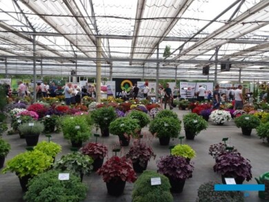 Fragment "katalogowych" pokazów gatunków i odmian z oferty Plantpolu zawierający byliny_Dni Otwarte Plantpolu 2023_fot. A-Cecot