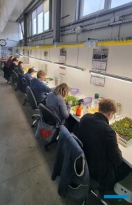 Nowoczesne laboratorium in vitro