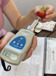 Badanie jędrności owoców