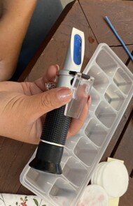 Badanie parametrów jakościowych owoców