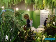 Ekspozycja rynku hurtowego "Bronisza"__Zieleń to Życie 2023_Warszawa_fot. A-Cecot