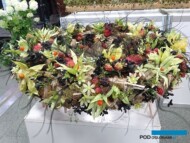 Kompozycja z pokazu mistrzyni florystyki Izy Tkaczyk_Zieleń to Życie 2023_fot. A-Cecot