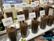 Podłoża z oferty firmy Ceres