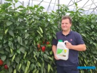 Tomasz Harciarek, prezes firmy Agro-Sorb, prezentuje produkt Agro_Sorb Folium, jaki m.in. jest stosowany na plantacji papryki w Grabowej