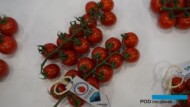 Strabini - odmiana koktajlowa ze średnią odpornością na ToBRFV