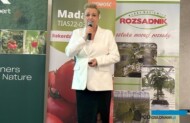 Aneta Okoń