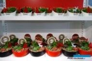 Kompozycja sezonowa z kalanchoe_Queen Flowers-Turcja_Landscape Istanbul Fair 2023_fot. A-Cecot