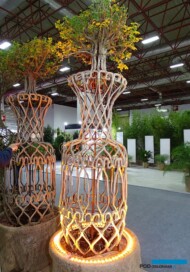 Lagerstroemia_firma Turgutlu Botanik Park_Landscape Istanbul Fair 2023_fot. A-Cecot