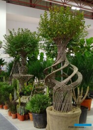 Lagerstroemia_firma Fidan Burada_Landscape Istanbul Fair 2023_fot. A-Cecot