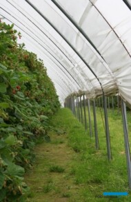 otwarte ściany boczne tunelu