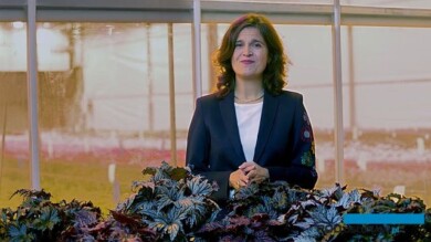 Ann Jennen, sekretarz generalna Fleuroselectu ogłosiła wyniki tegorocznej oceny w konkursie o złote medale tej organizacji na rok 2025 (fot. A. Cecot/print screen)