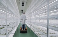 PlantSelect-inVitro_kamera wzrostowa_fot. plant select