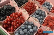Owoce jagodowe w opakowaniach