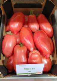 odmiana pomidora Cornarose