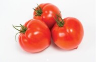 pomidor Cupidissimo