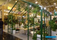 Dutch Flower Group - ekspozycja IPM Essen 2024_m_fot. A-Cecot