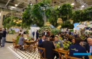 Targi IPM Essen 2024 były szczególne, bo jubileuszowe i bardziej niż dotychczas zielone (tu: fragment ekspozycji rynku hurtowego Landgard), fot. A. Cecot