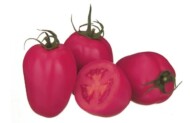 pomidor Pink Pioneer