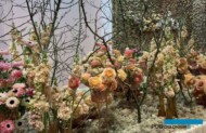 Migawka z targów Myplant & Garden 2024 w Mediolanie (fot. A. Cecot)