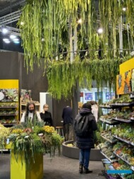 stoisko włoskiej firmy Societa Agricola Bulzaga s.s_sukulenty__Myplant-and-Garden2024_fot. A. Cecot