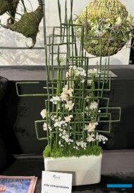Florystyka_Myplant-Garden_2024_StefAdriaenssens_fot. A-Cecot