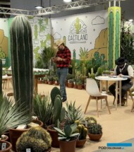 Cactiland_Myplant-and-Garden2024_fot. A. Cecot