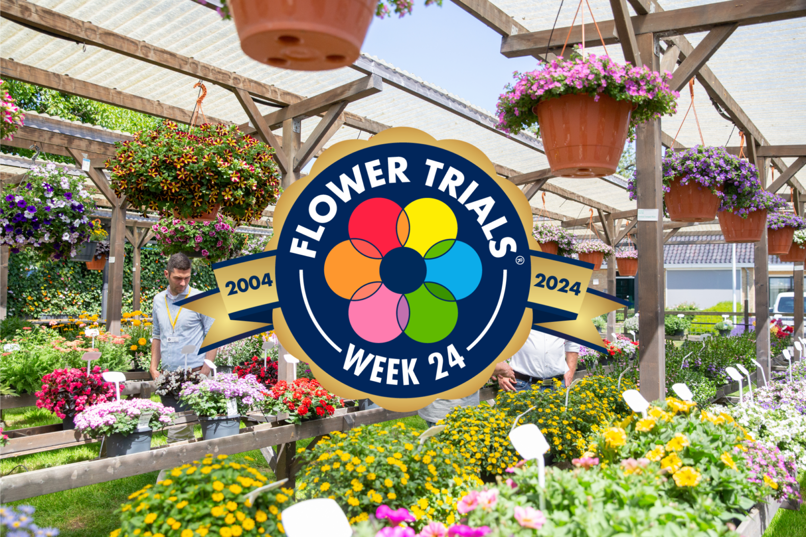 fot. FlowerTrials