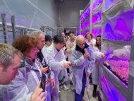 Uczestnicy wycieczki zawodowej po sympozjum Flower Bulbs 2024_Wizyta w szklarniotronie firmy Vitroflora (rośliny rozmnażane in vitro _fot. D-Sochacki