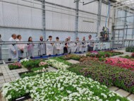 Uczestnicy wycieczki zawodowej po sympozjum Flower Bulbs 2024 zwiedzają szklarniowy obiekt produkcyjny Vitroflory_fot. D-Sochacki