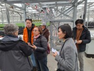 Gospodarstwo B. M. Orłowskich_ produkcja pędzonych hydroponicznie tulipanów__wizyta uczestników sympozjum Flower Bulbs 2024__fot. D-Sochacki