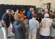 Michał Orłowski opowiada o swojej produkcji pędzonych hydroponicznie tulipanów