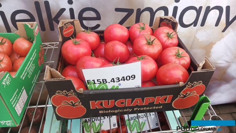 Pomidor E15B.43409 (fot. SSZ)