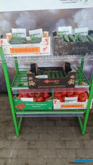 Ekspozycja owoców pomidorów i ogórków z firmy Enza Zaden (fot. SSZ)