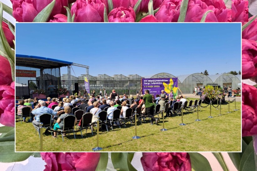 Migawka z XIV Międzynarodowych Targów Tulipanów (tu: pokaz florystyczny), fot. D. Sochacki