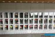 roze szklarniowe_automat do sprzedaży kwiatów 24/7_Wimceco_Belgia_kwiecien2024_m_fot. A-Cecot
