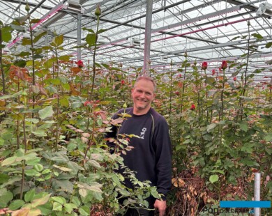 Bart Van Nuffelen, który prowadzi gospodarstwo Wimceco z całoroczną produkcją kwiatów róż szklarniowych_Belgia_kwiecień 2024 (fot. A. Cecot)