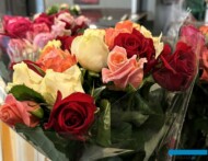 mix odmian róż szklarniowych_roze szklarniowe_sprzedaż detaliczna kwiatów w gospodarstwie Wimceco_Belgia_kwiecien2024_m_fot. A-Cecot