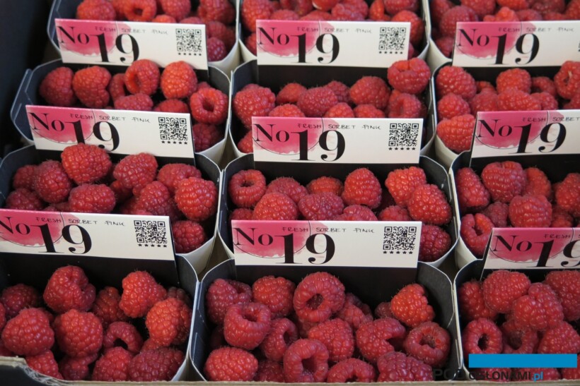 Owoce maliny Kweli (fot. DŁB)