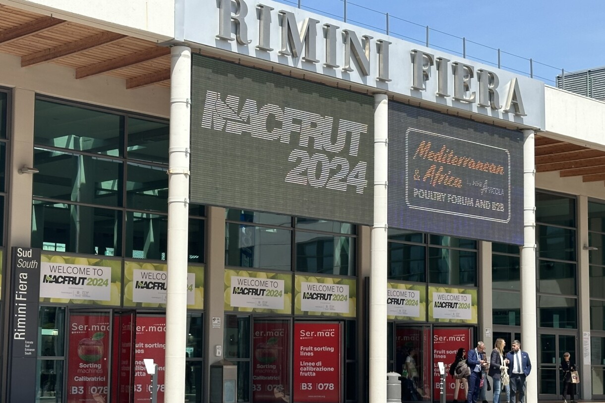 Targi Macfrut 2024 (fot. DŁB)