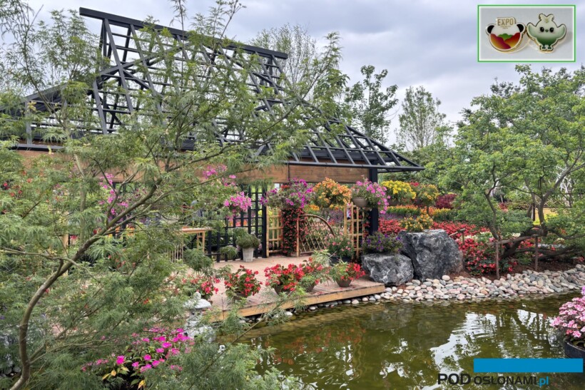 International Horticultural Exhibition 2024 Chengdu_SakataGarden_fot. A-Cecot