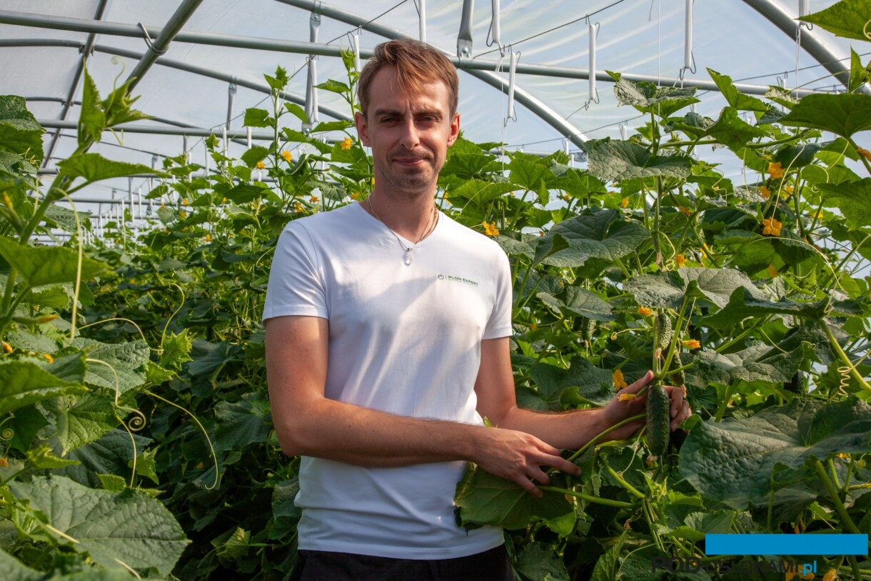 Doradca uprawowy Radosław Łaźny podkreśla korzystny wpływ na zdrowotność roślin ogórka, jakość i trwałość plonu nawożenia z uwzględnieniem miedzi i krzemu (fot. MS)