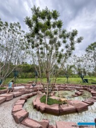 International Horticultural Exhibition 2024 Chengdu_Albizia_THE COOL GARDEN-by TheWest8-Netherlands_fot. A. Cecot