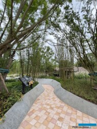 International Horticultural Exhibition 2024 Chengdu_Bamboo Woodland Garden_fot. A-Cecot