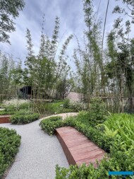 International Horticultural Exhibition 2024 Chengdu_BambooWoodlandGarden_Bambusa-emeiensis_fot. A. Cecot