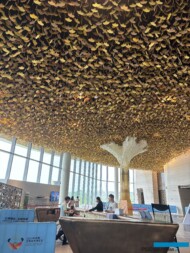 International Horticultural Exhibition 2024 Chengdu_ sufit z liści miłorzębu_GINGKO leaves_fot. A-Cecot