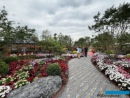 International Horticultural Exhibition 2024 Chengdu_SakataGarden_fot. A. Cecot